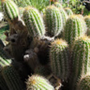 Meet your Posher, Eliza